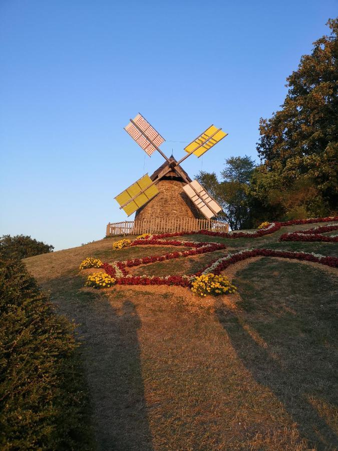 Symphony Du Vivant Lautrec Exterior foto